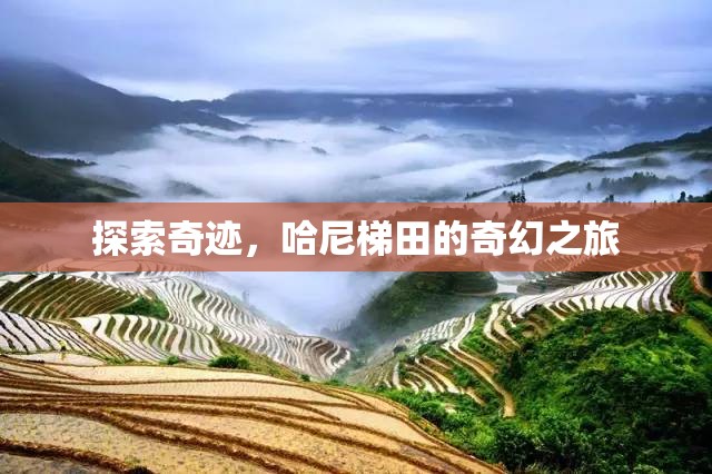 哈尼梯田，探索奇跡的奇幻之旅