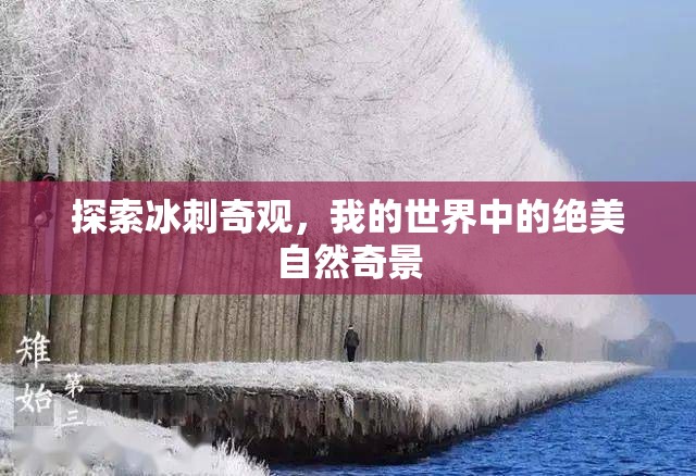 探索冰刺奇觀，我的世界中的絕美自然奇景
