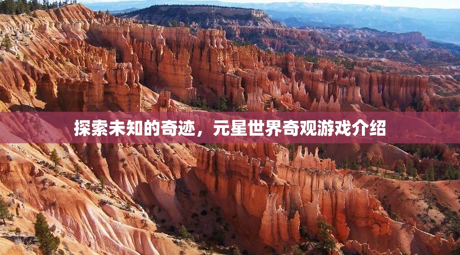 探索未知的奇跡，元星世界奇觀游戲深度解析