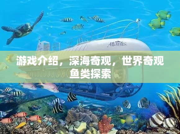 探索深海奇觀，揭秘世界奇觀魚類