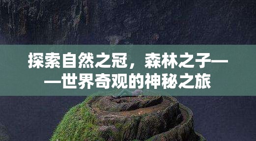 森林之子，探索自然之冠的神秘之旅