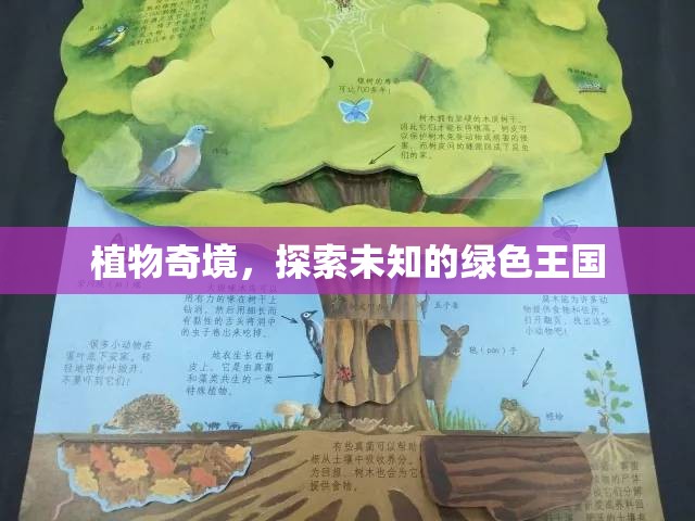 探索未知的綠色王國，植物奇境的奧秘之旅