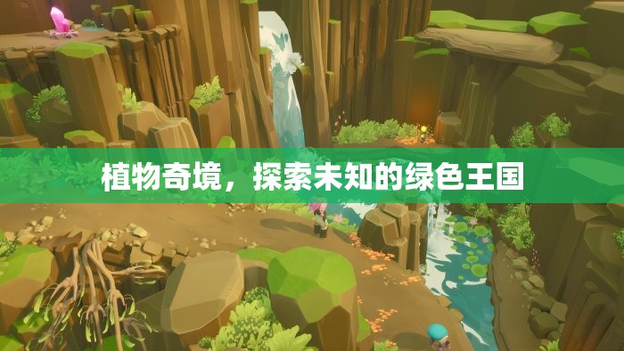 探索未知的綠色王國，植物奇境的奧秘之旅