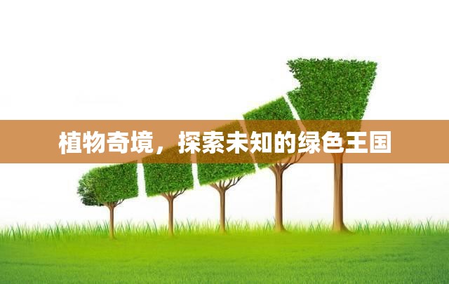探索未知的綠色王國，植物奇境的奧秘之旅