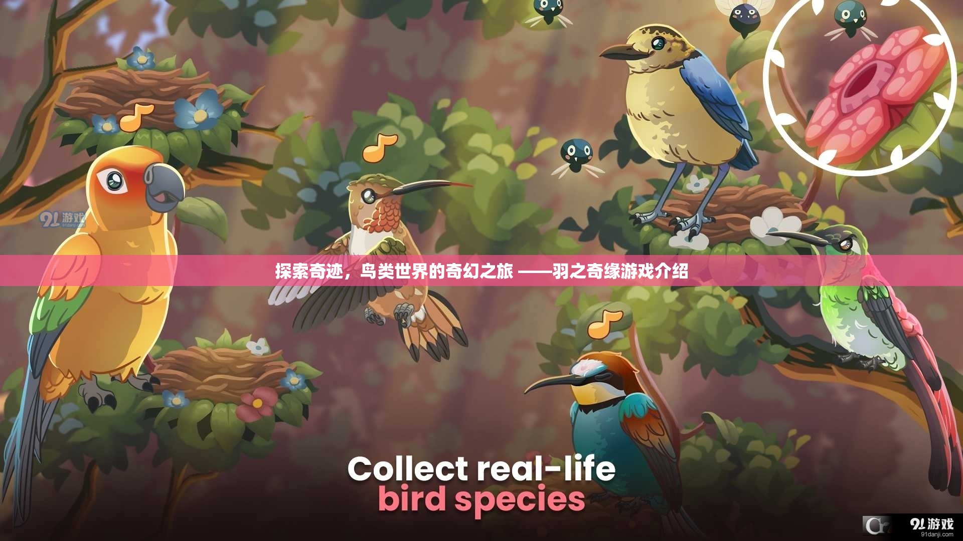 羽之奇緣，探索鳥類世界的奇幻之旅