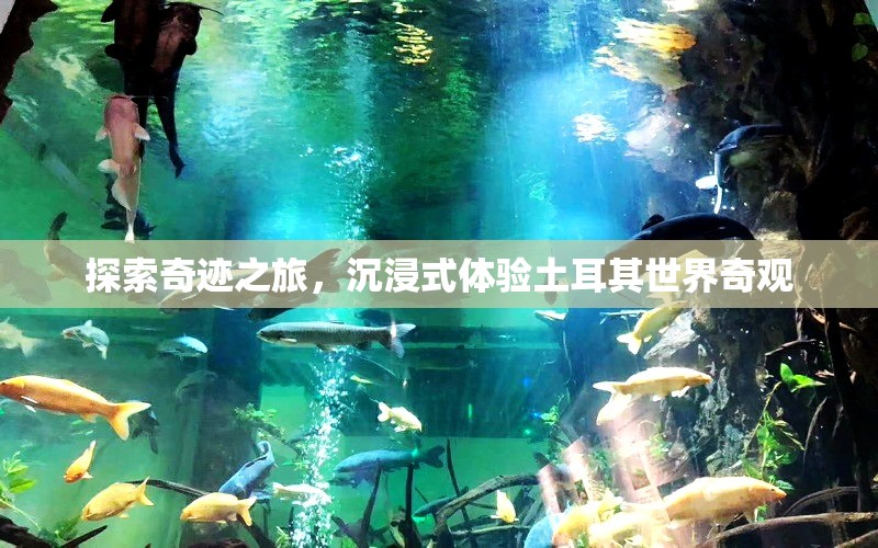奇跡之旅，沉浸式探索土耳其世界奇觀