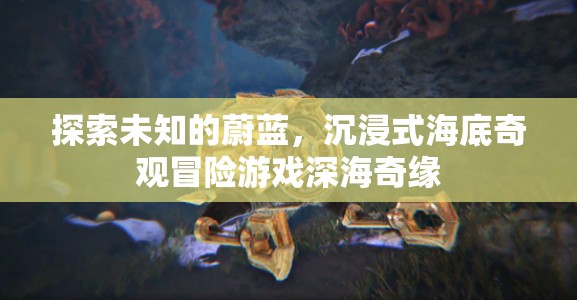 深海奇緣，探索未知的蔚藍(lán)，沉浸式海底奇觀冒險(xiǎn)之旅