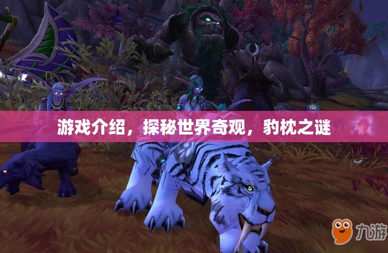 探秘豹枕之謎，解鎖世界奇觀之旅  第3張