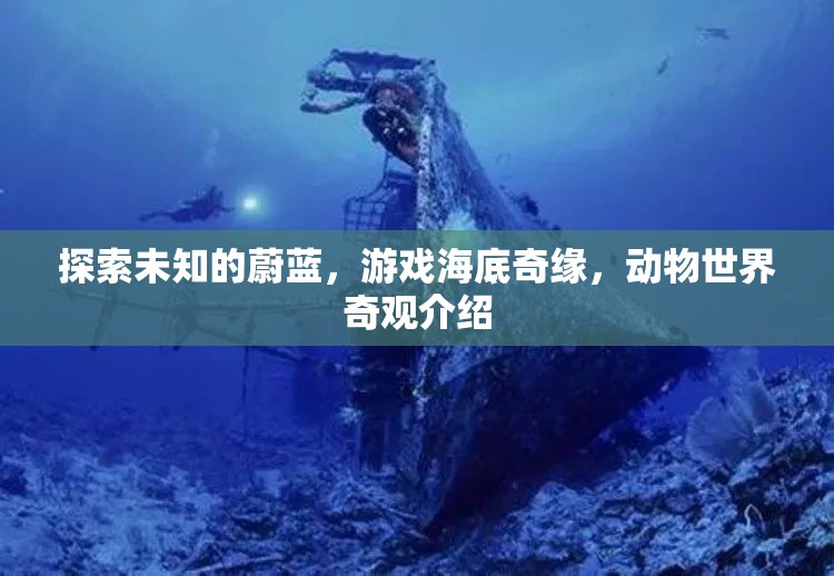 探索海底奇緣，揭秘游戲中的動物世界奇觀