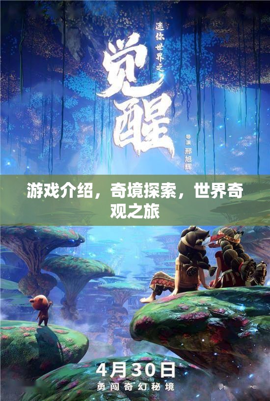 奇境探索，一場穿越世界奇觀的冒險之旅