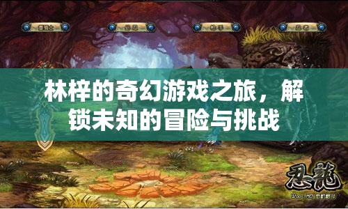 林梓的奇幻游戲之旅，解鎖未知的冒險與挑戰(zhàn)
