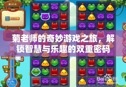 菊老師的奇妙游戲之旅，解鎖智慧與樂(lè)趣的雙重密碼  第3張