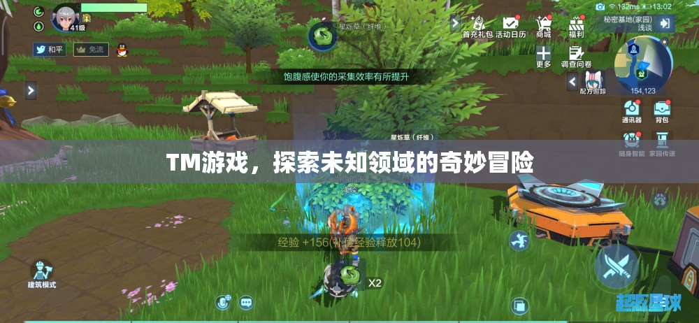 TM游戲，探索未知領域的奇妙冒險之旅  第3張