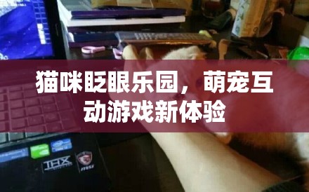萌寵互動新紀(jì)元，貓咪眨眼樂園的趣味探險(xiǎn)
