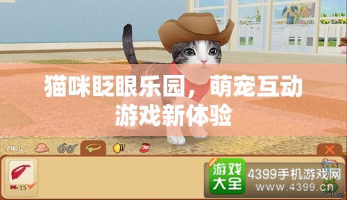 萌寵互動新紀(jì)元，貓咪眨眼樂園的趣味探險(xiǎn)