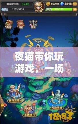 夜貓的奇幻時(shí)空之旅，一場(chǎng)跨越維度的游戲冒險(xiǎn)