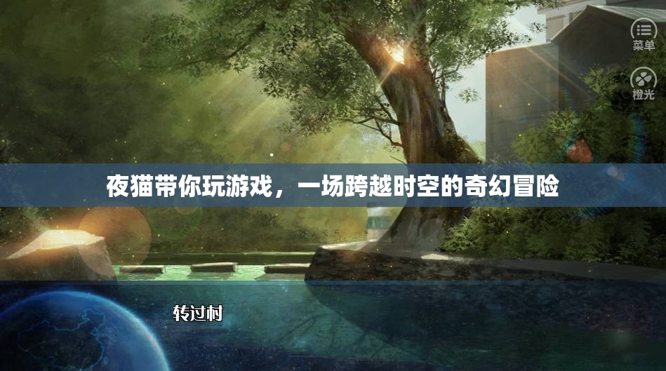 夜貓的奇幻時(shí)空之旅，一場(chǎng)跨越維度的游戲冒險(xiǎn)
