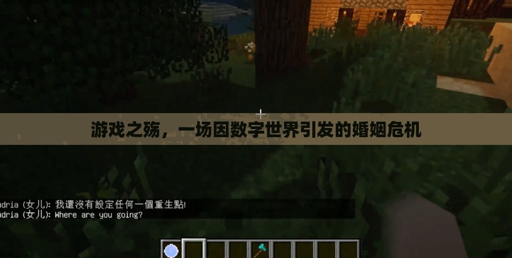 數(shù)字世界的誘惑，游戲之殤引發(fā)的婚姻危機(jī)