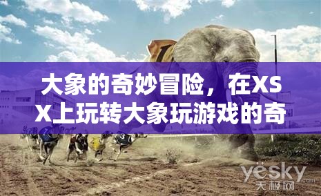 大象的奇幻冒險，在XSX上解鎖大象玩游戲的奇幻之旅