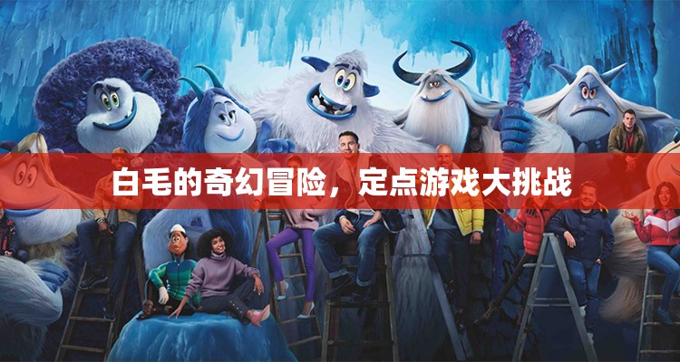白毛的奇幻冒險(xiǎn)，定點(diǎn)游戲大挑戰(zhàn)