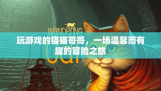 貓貓哥哥的溫馨趣玩冒險，一場游戲中的奇妙旅程