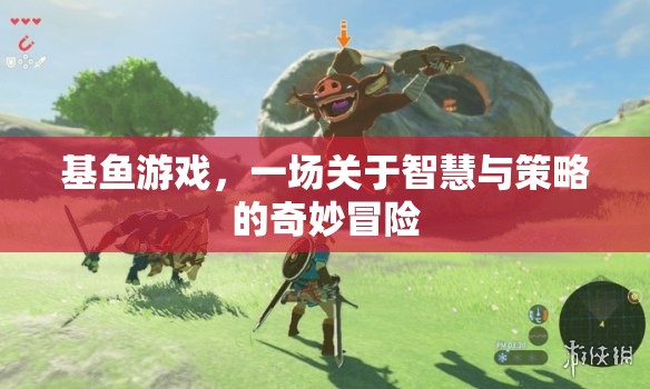 基魚游戲，智慧與策略的奇妙冒險之旅