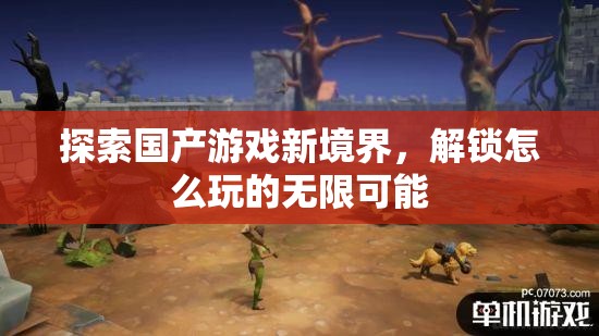 解鎖國產(chǎn)游戲新境界，探索無限可能的玩法