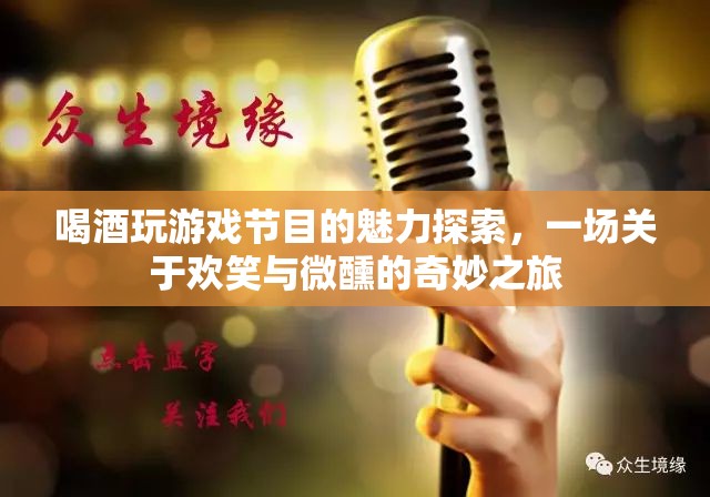 微醺歡笑，探索喝酒玩游戲節(jié)目的獨特魅力