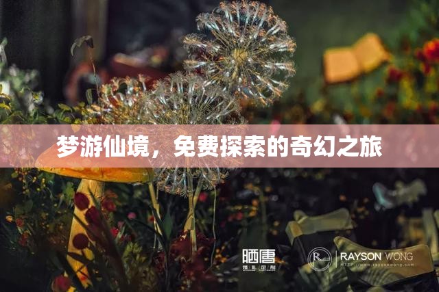 夢(mèng)游仙境，一場(chǎng)免費(fèi)探索的奇幻之旅
