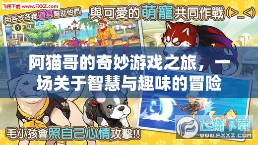阿貓哥的智慧趣游，一場奇妙的游戲冒險