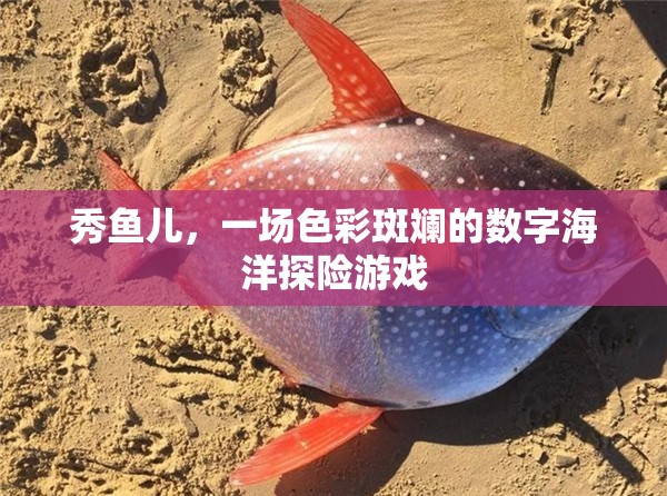 秀魚兒，色彩斑斕的數(shù)字海洋探險之旅
