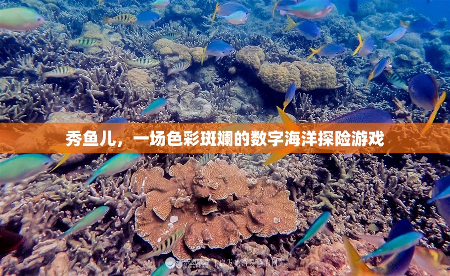 秀魚兒，色彩斑斕的數(shù)字海洋探險之旅