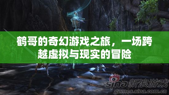 鶴哥的奇幻游戲，虛擬與現(xiàn)實的跨界冒險