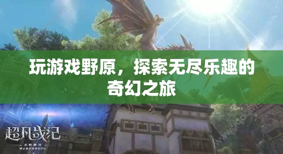 野原游戲，開啟無盡奇幻之旅的冒險之門