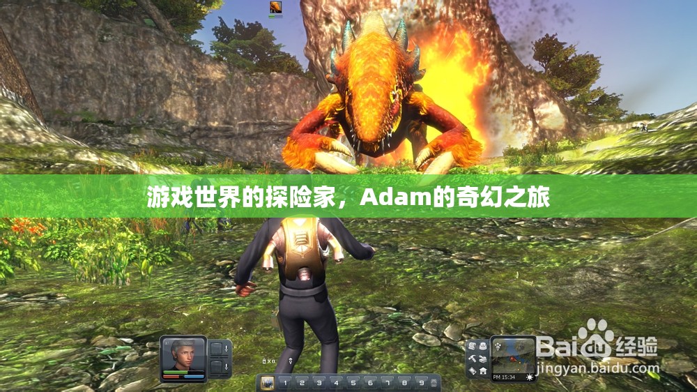 Adam的奇幻探險(xiǎn)，游戲世界的奇妙之旅