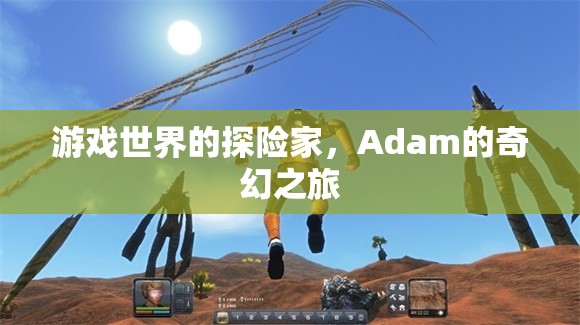 Adam的奇幻探險(xiǎn)，游戲世界的奇妙之旅