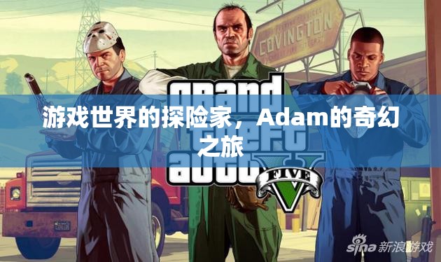 Adam的奇幻探險(xiǎn)，游戲世界的奇妙之旅