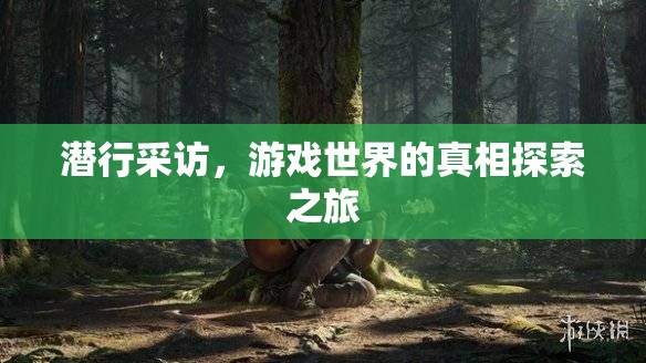 潛行探索，游戲世界的真相揭秘之旅