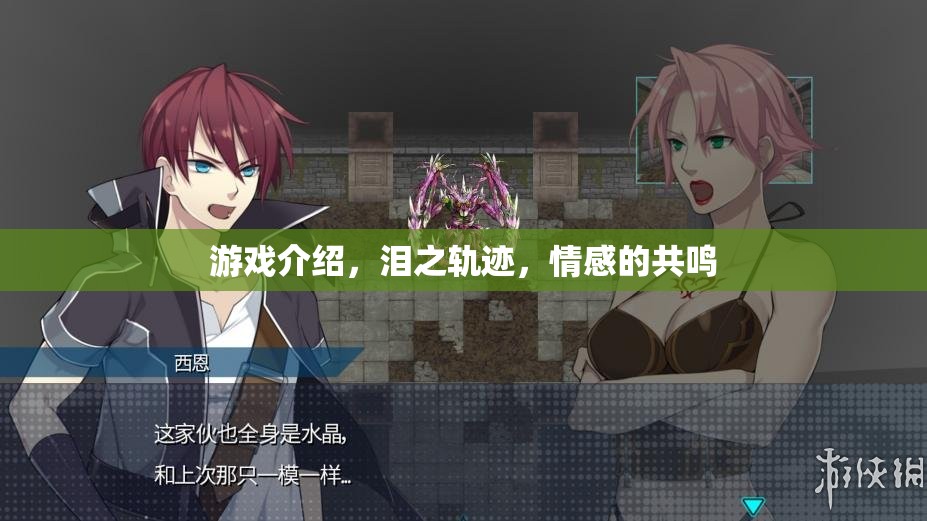 淚之軌跡，情感共鳴的深度游戲體驗(yàn)
