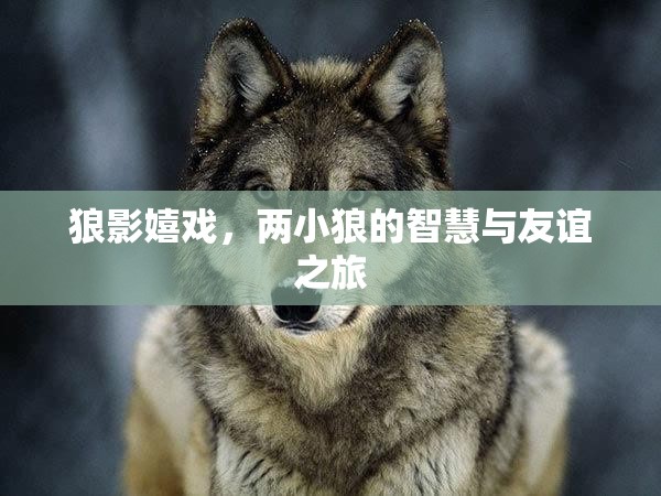 狼影嬉戲，兩小狼的智慧與友誼之旅