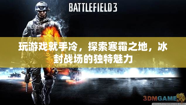 寒霜之地，冰封戰(zhàn)場的獨特魅力與手冷挑戰(zhàn)