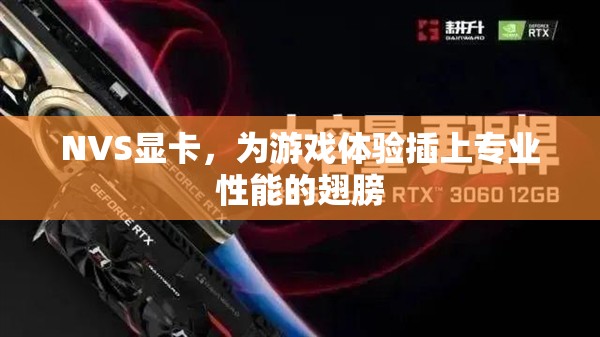 NVS顯卡，為游戲體驗注入專業(yè)性能的強勁動力
