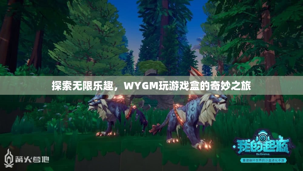 WYGM玩游戲盒，開啟無限樂趣的奇妙之旅