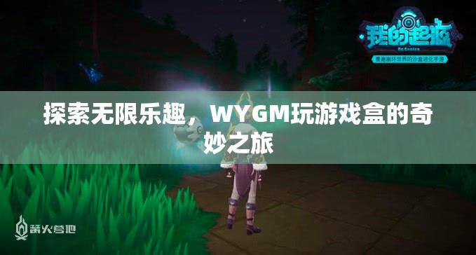 WYGM玩游戲盒，開啟無限樂趣的奇妙之旅