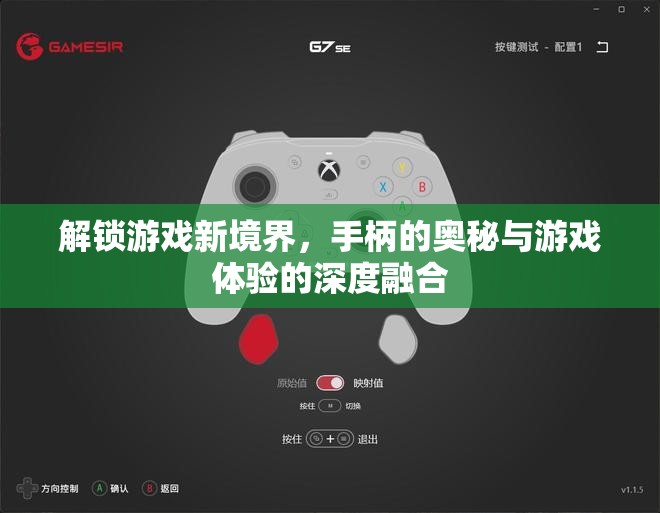 解鎖游戲新境界，手柄奧秘與深度游戲體驗(yàn)的融合