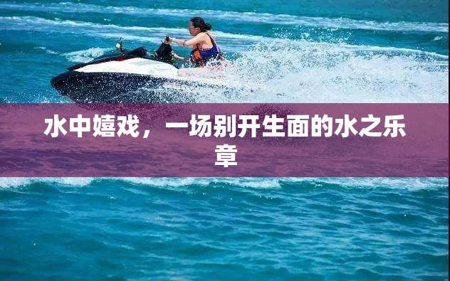 水中嬉戲，奏響別開生面的水之樂章