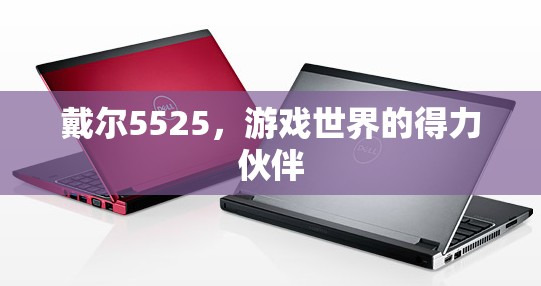 戴爾5525，游戲世界的得力伙伴