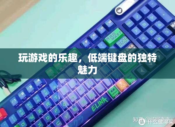 低端鍵盤的獨(dú)特魅力，解鎖游戲樂趣的秘密