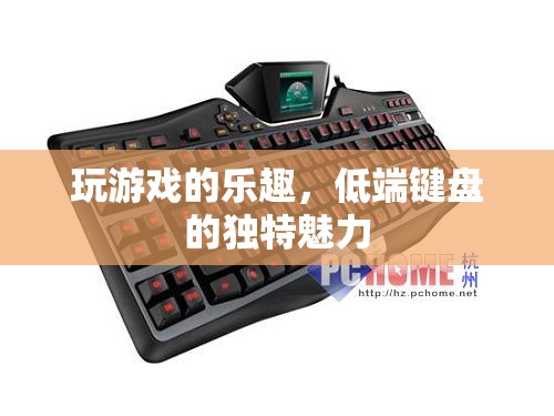 低端鍵盤的獨(dú)特魅力，解鎖游戲樂趣的秘密