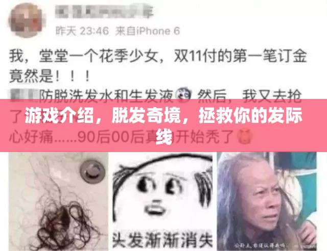 拯救發(fā)際線，探索脫發(fā)奇境的冒險之旅